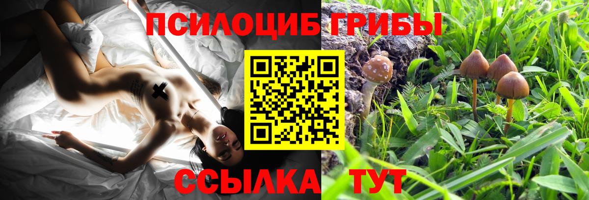 Галлюциногенные грибы GOLDEN TEACHER Майкоп