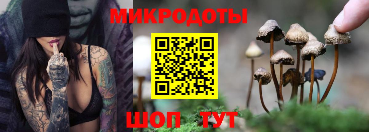 Псилоцибиновые грибы GOLDEN TEACHER  Вход с VPN  Майкоп 